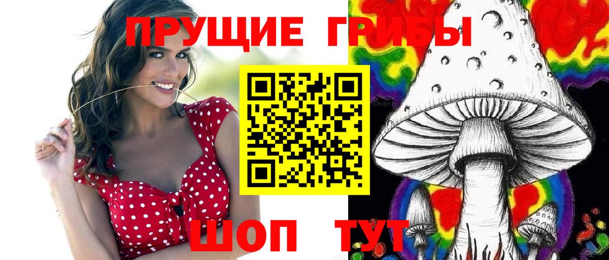 Бугуруслан  Псилоцибиновые грибы мицелий  Вход с VPN 