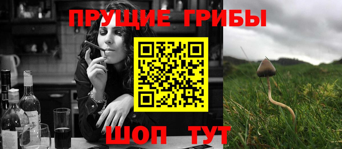Галлюциногенные грибы Cubensis Бугуруслан